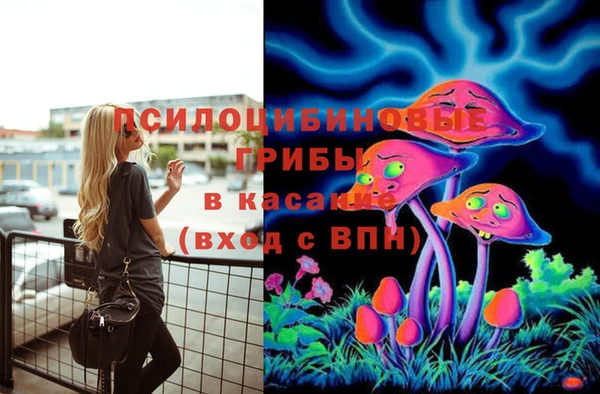 мяу мяу кристалл Алексин