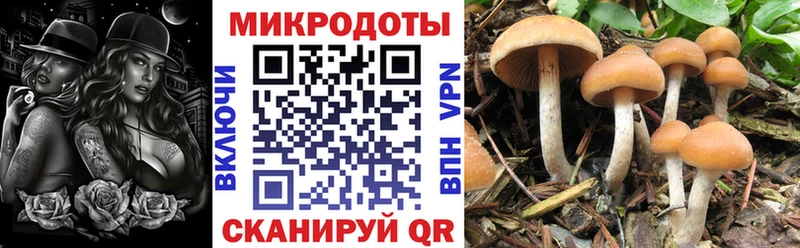 как найти наркотики  Сосновка  Псилоцибиновые грибы мухоморы 
