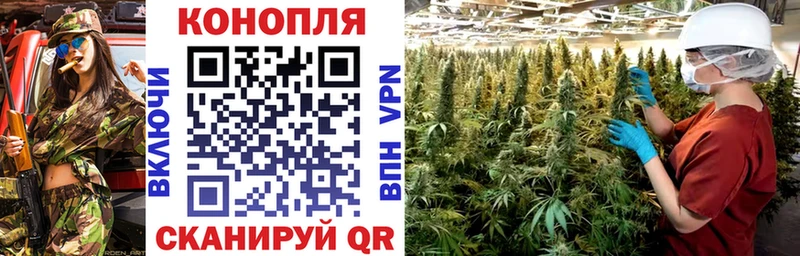Канабис конопля  купить наркотики цена  Сосновка 